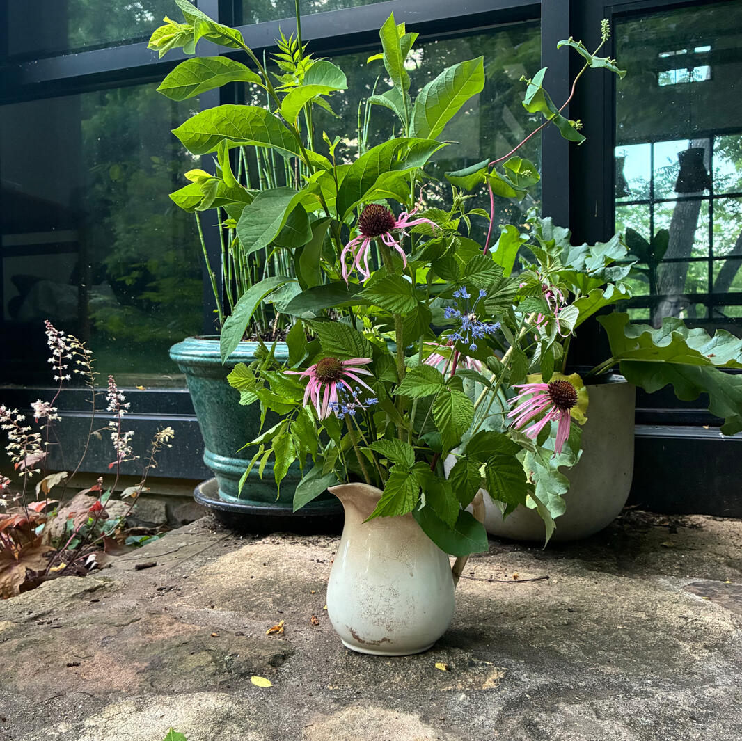 Untitled Fabienne Adler, garden designer and founder of Paper Crane Garden Co.